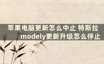 苹果电脑更新怎么中止 特斯拉modely更新升级怎么停止